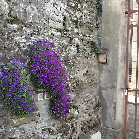 Amelia * Fiesole